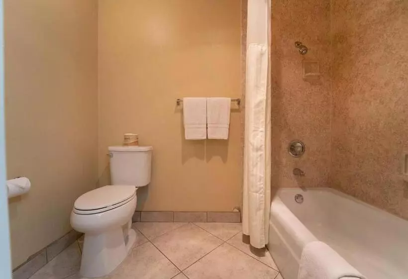 اتاق لوکس با تخت بزرگ, Royal Plaza Inn