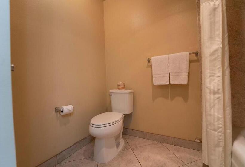 غرفة ديلوكس سرير كينج, Royal Plaza Inn