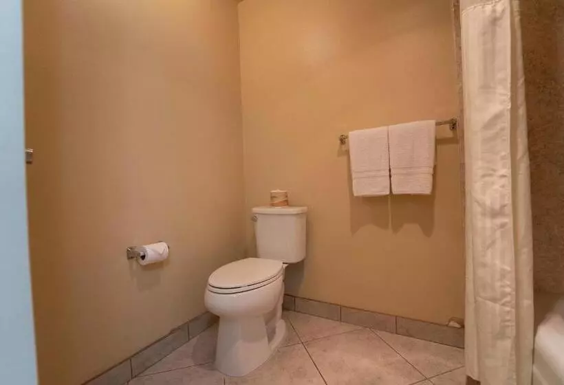 اتاق لوکس با تخت بزرگ, Royal Plaza Inn
