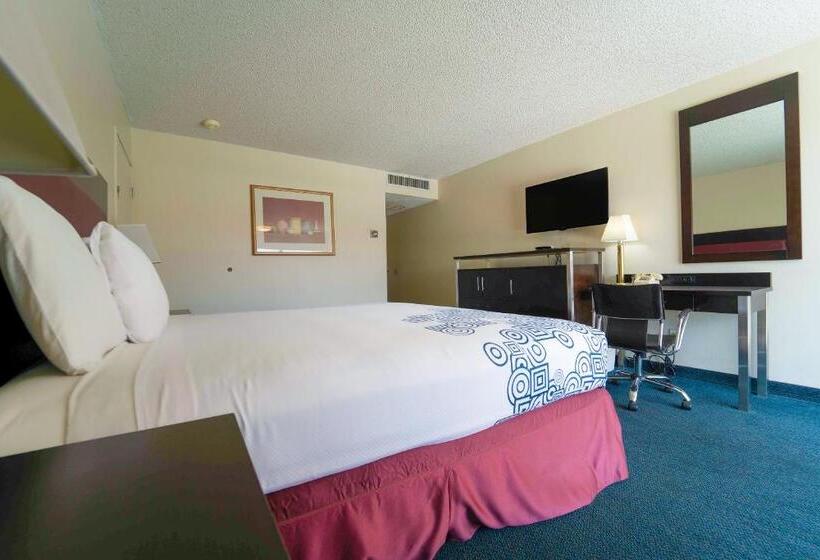 غرفة ديلوكس سرير كينج, Royal Plaza Inn