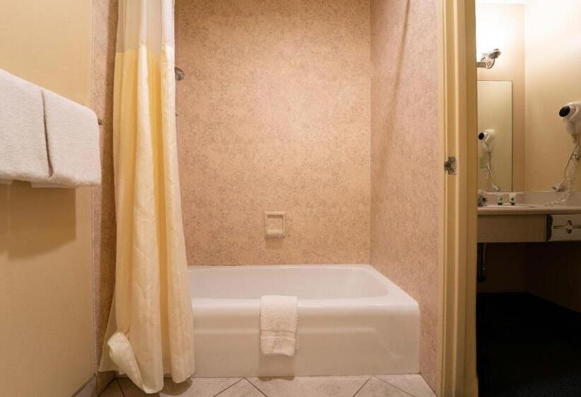 جناح ديلوكس سرير كينج, Royal Plaza Inn