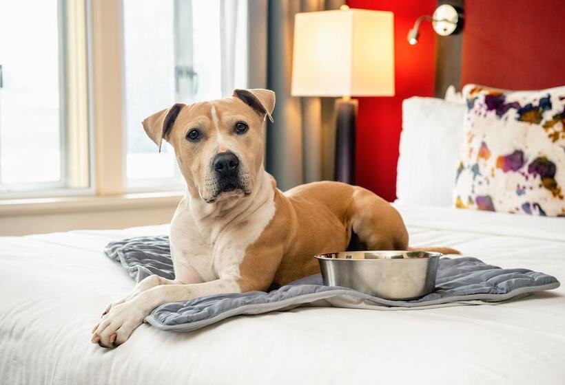 商务房间, Shattuck Plaza