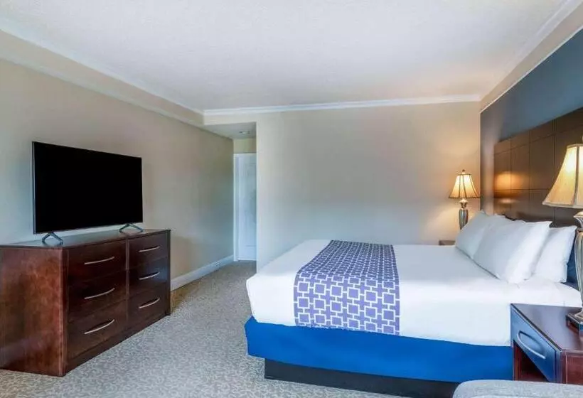 身障者適用キングサイズベッドルーム, Safety Harbor Resort & Spa Trademark Collection By Wyndham