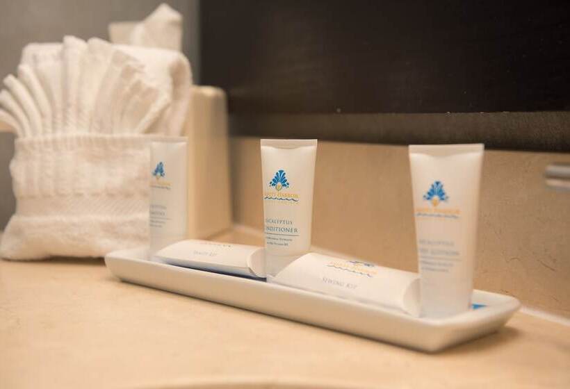 غرفة سوبيريور ذات إطلالة, Safety Harbor Resort & Spa Trademark Collection By Wyndham