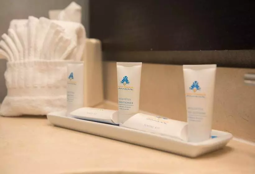 景色の見えるスーペリアルーム, Safety Harbor Resort & Spa Trademark Collection By Wyndham