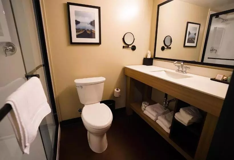 Deluxe-huone, Sawmill Creek By Cedar Point Resorts