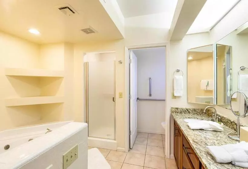 ویلا دلوکس 2 خوابه, Scottsdale Camelback Resort