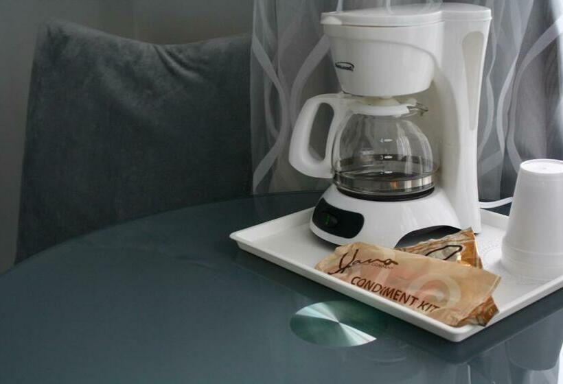 스탠다드 룸 킹사이즈 침대, Congress Plaza Hotel Chicago