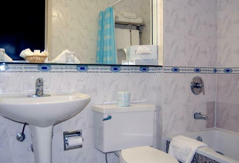 패밀리 스위트, Congress Plaza Hotel Chicago