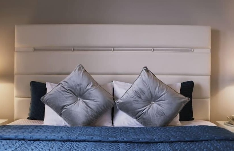 스탠다드 룸 더블 침대, Congress Plaza Hotel Chicago