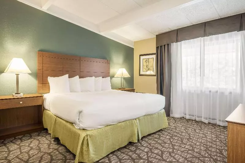Sviitti King-vuode, Americinn By Wyndham Grand Rapids Airport North