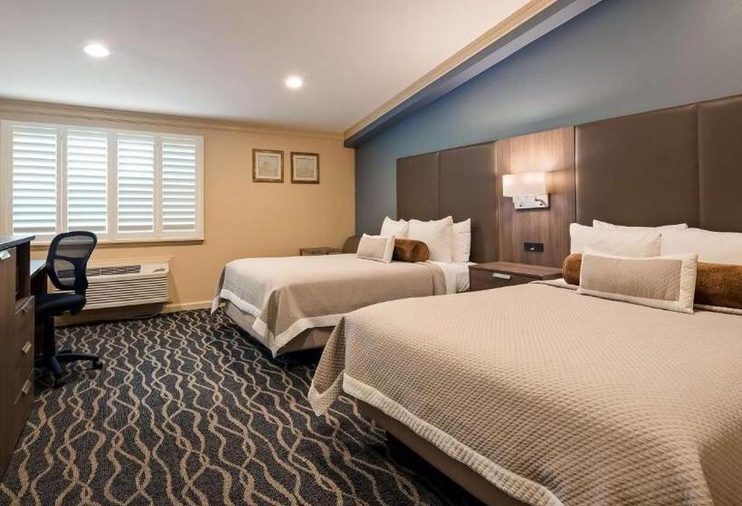 スタンダードルーム, Best Western Plus Hill House