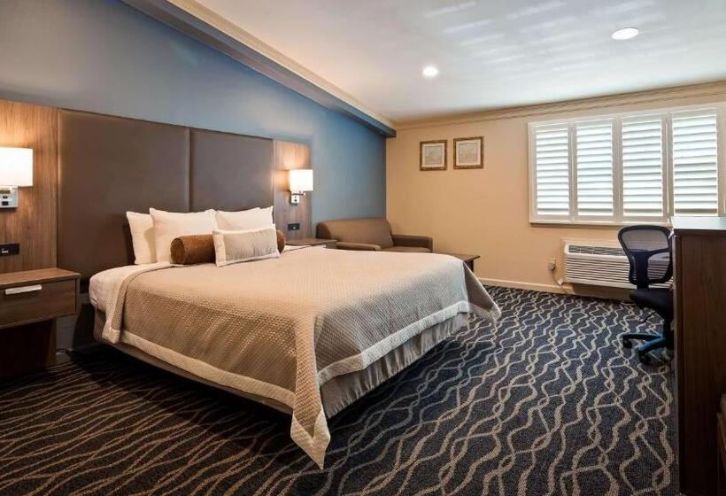 חדר סטנדרט עם מיטת קינג, Best Western Plus Hill House