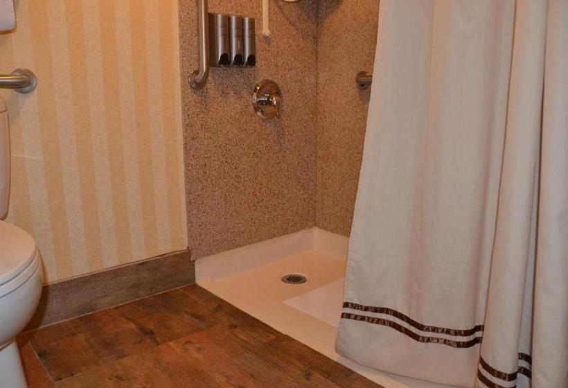 חדר סטנדרט, Best Western Plus Hill House