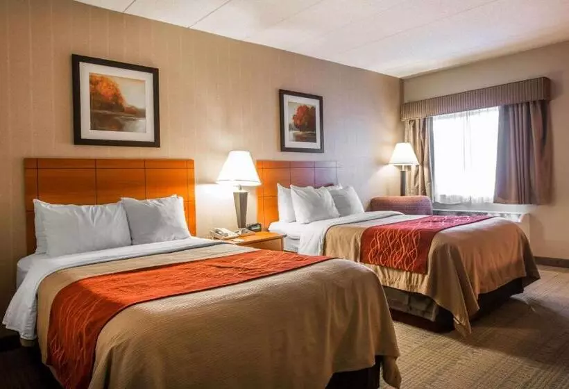 ２ダブルベッドのスタンダードルーム, Comfort Inn