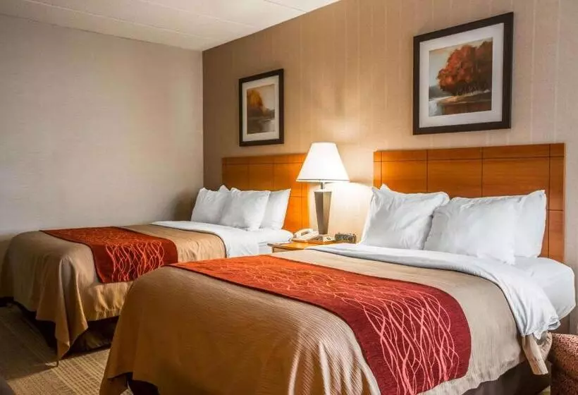 ２ダブルベッドのスタンダードルーム, Comfort Inn
