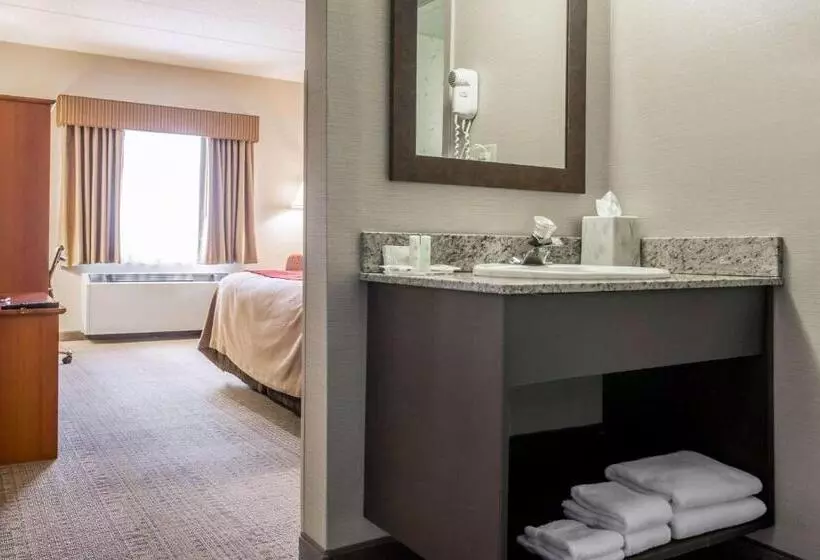 キングサイズベッドのスタンダードルーム, Comfort Inn