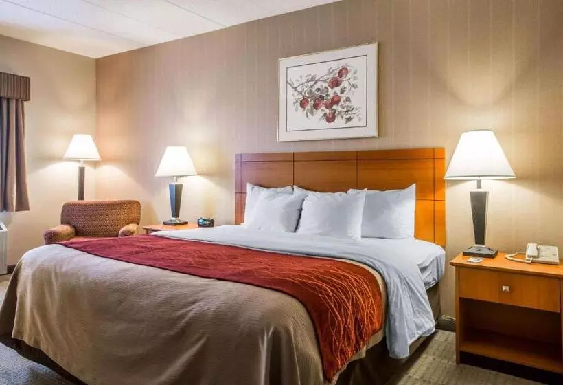 キングサイズベッドのスタンダードルーム, Comfort Inn