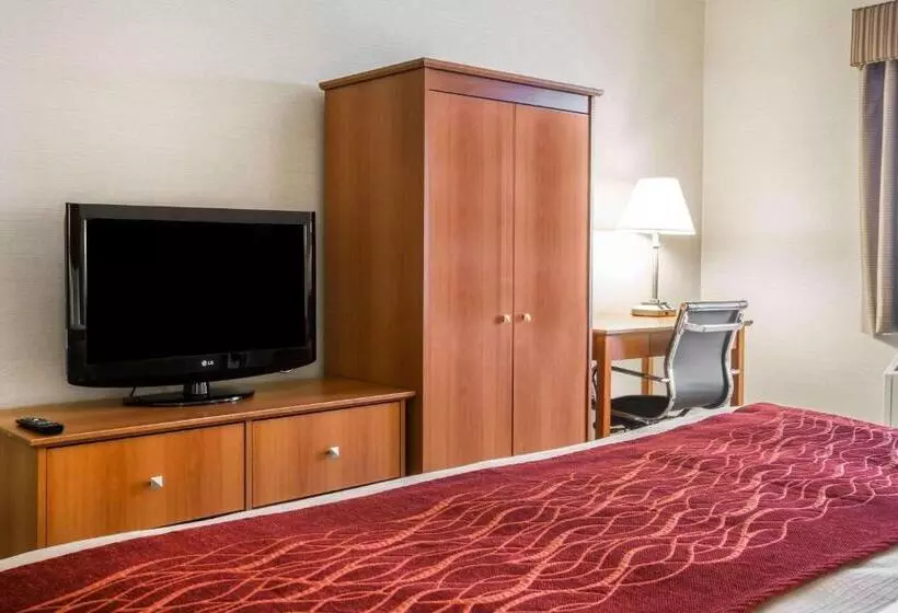 キングサイズベッドのスタンダードルーム, Comfort Inn