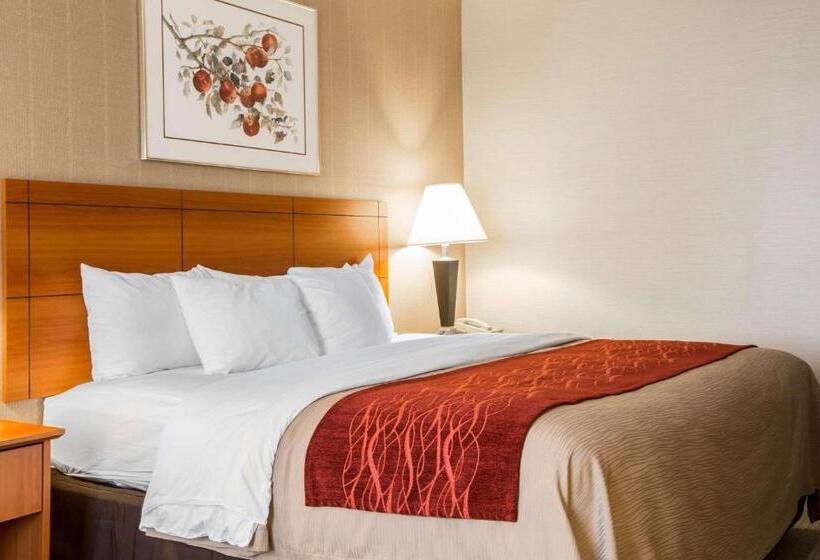 스탠다드 룸 킹사이즈 침대, Comfort Inn