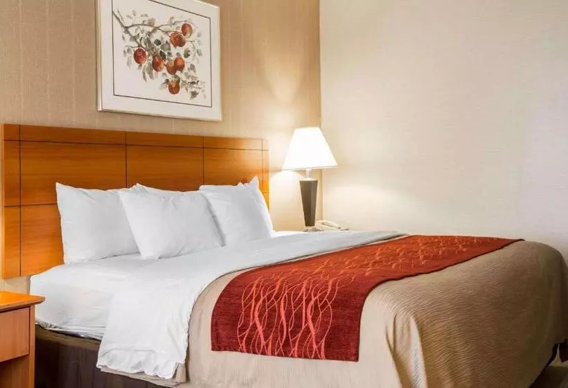 キングサイズベッドのスタンダードルーム, Comfort Inn