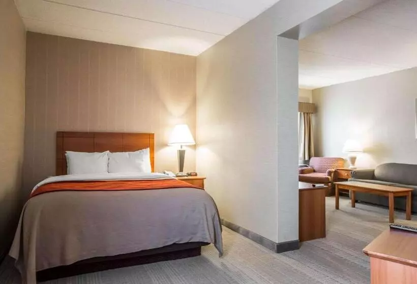 スイート, Comfort Inn