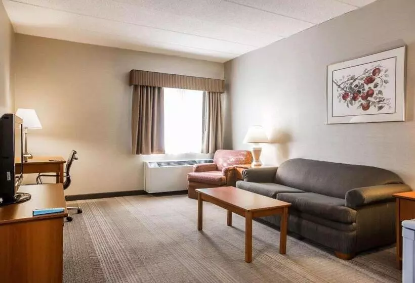 スイート, Comfort Inn