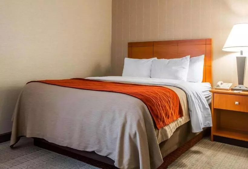 スイート, Comfort Inn