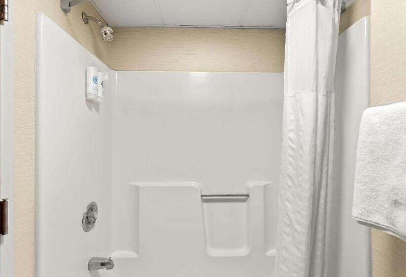 اتاق استاندارد با 2 تخت دوبل, Comfort Inn