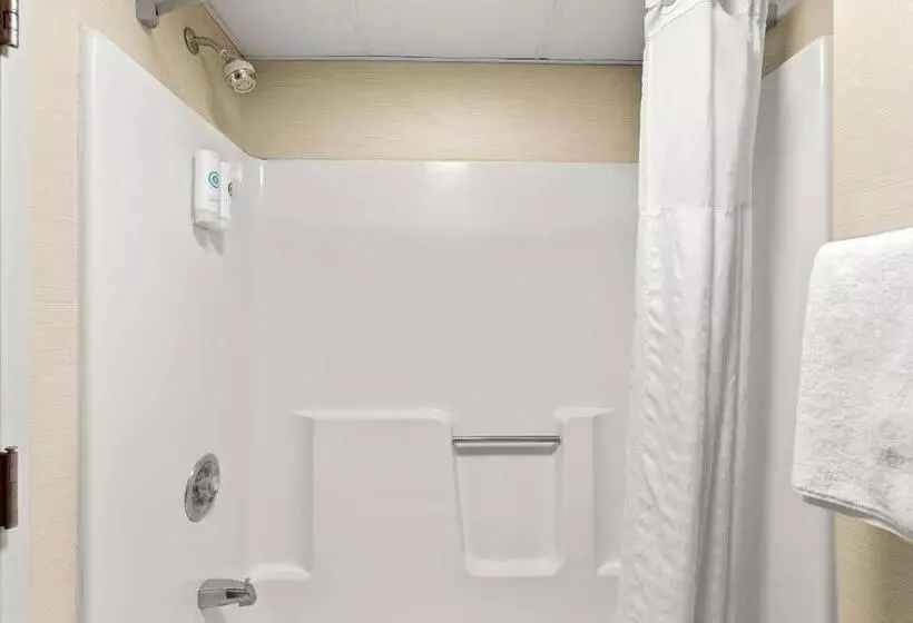 ２ダブルベッドのスタンダードルーム, Comfort Inn