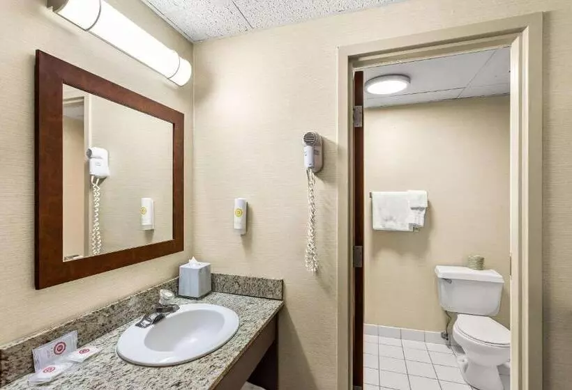 ２ダブルベッドのスタンダードルーム, Comfort Inn