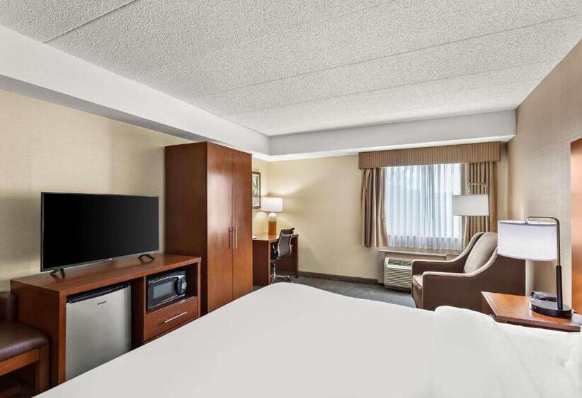 اتاق استاندارد با تخت بزرگ, Comfort Inn