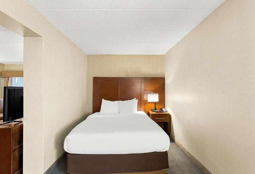 스위트, Comfort Inn