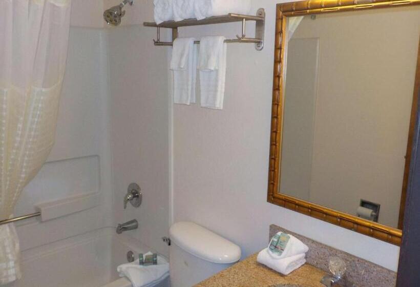 2ダブルベッドのスタンダードルーム, Economy 7 Inn   Norfolk