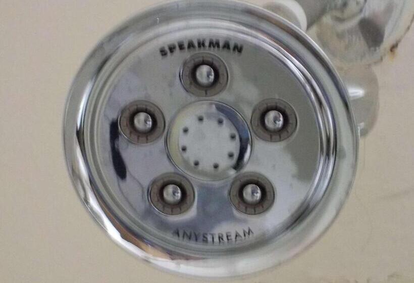 キングサイズベッドのスタンダードルーム, Economy 7 Inn   Norfolk