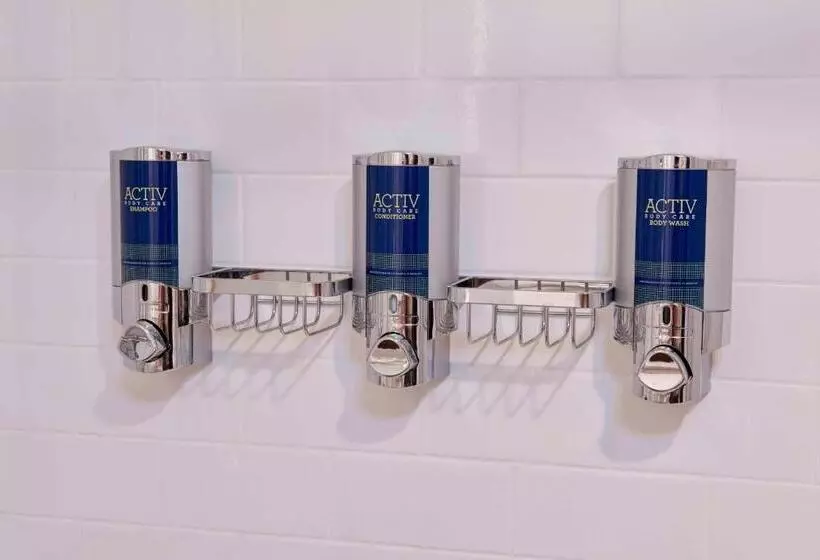 キングサイズベッド、シティビューデラックスルーム, Four Points By Sheraton Detroit Novi