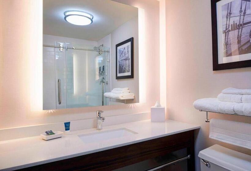 Номер Deluxe, Four Points By Sheraton Detroit Novi