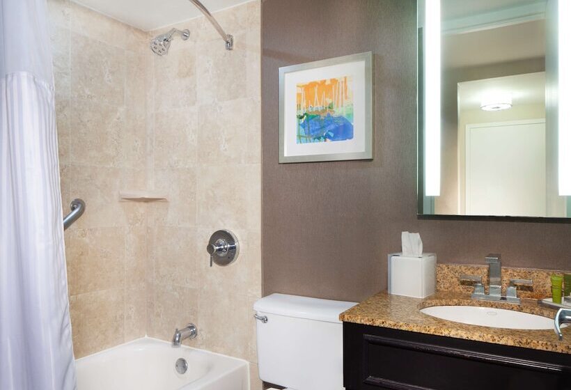 Номер Стандарт 2 Двуспальные Кровати, Hilton St. Petersburg Bayfront