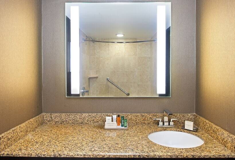 ２ダブルベッドのスタンダードルーム, Hilton St. Petersburg Bayfront