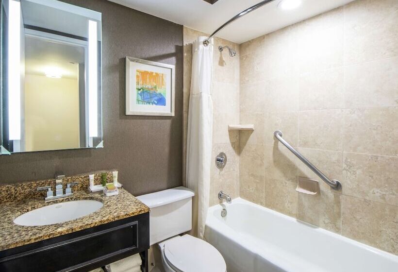Номер Deluxe, Hilton St. Petersburg Bayfront