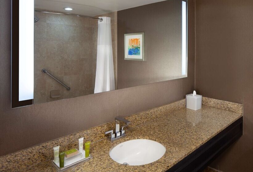 デラックスルーム, Hilton St. Petersburg Bayfront