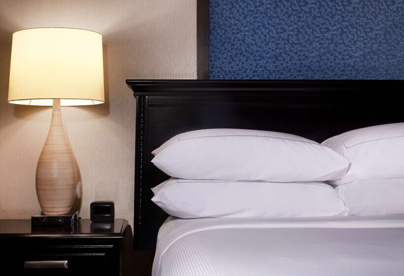 デラックスルーム, Hilton St. Petersburg Bayfront