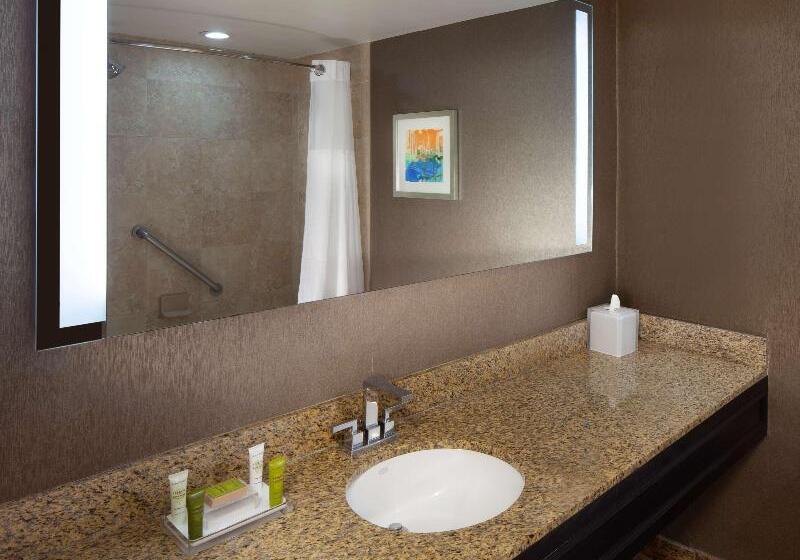 デラックスルーム, Hilton St. Petersburg Bayfront