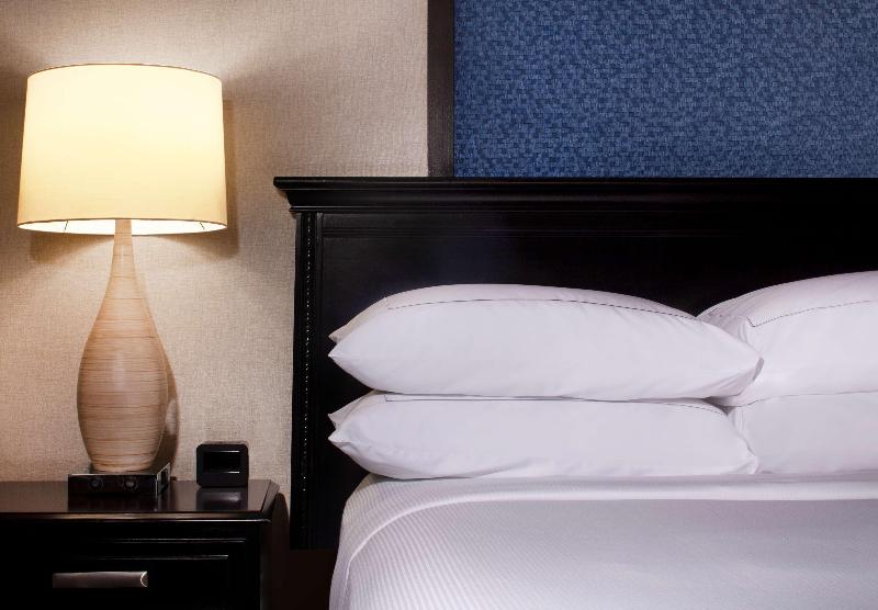 デラックスルーム, Hilton St. Petersburg Bayfront