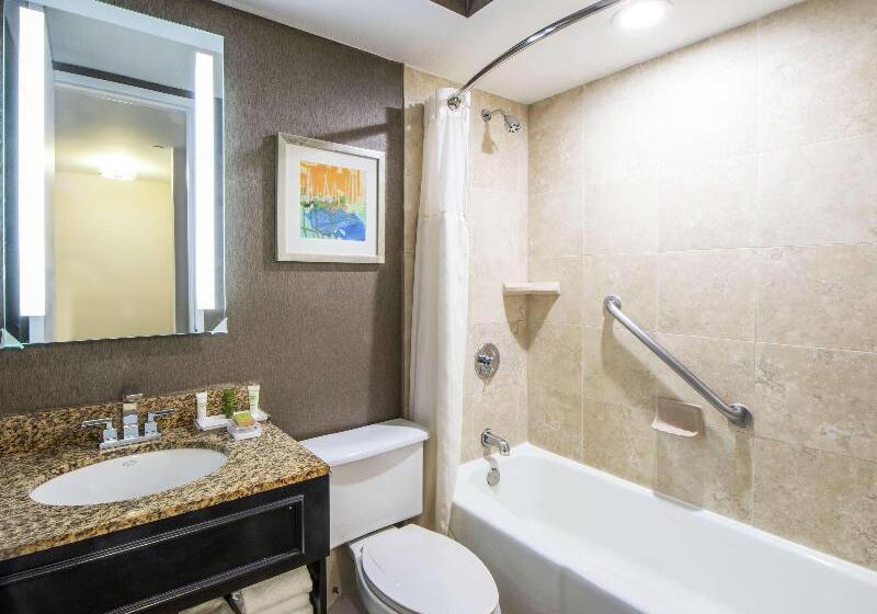 デラックスルーム, Hilton St. Petersburg Bayfront