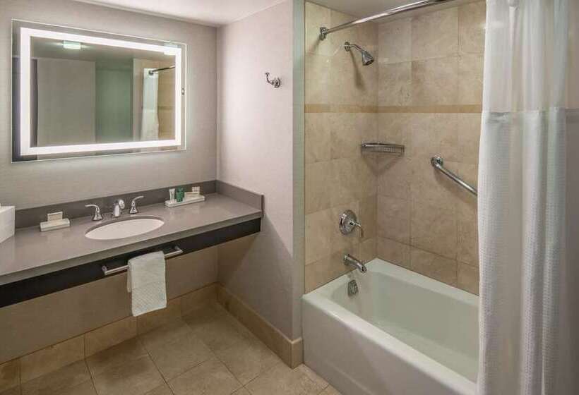 Номер Deluxe, Hilton St. Petersburg Bayfront