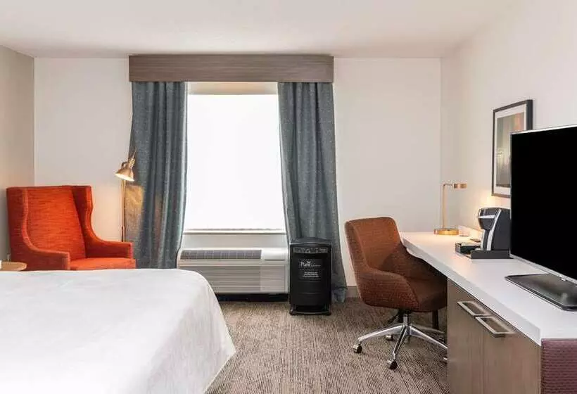 キングサイズベッドのスタンダードルーム, Hilton St. Petersburg Bayfront