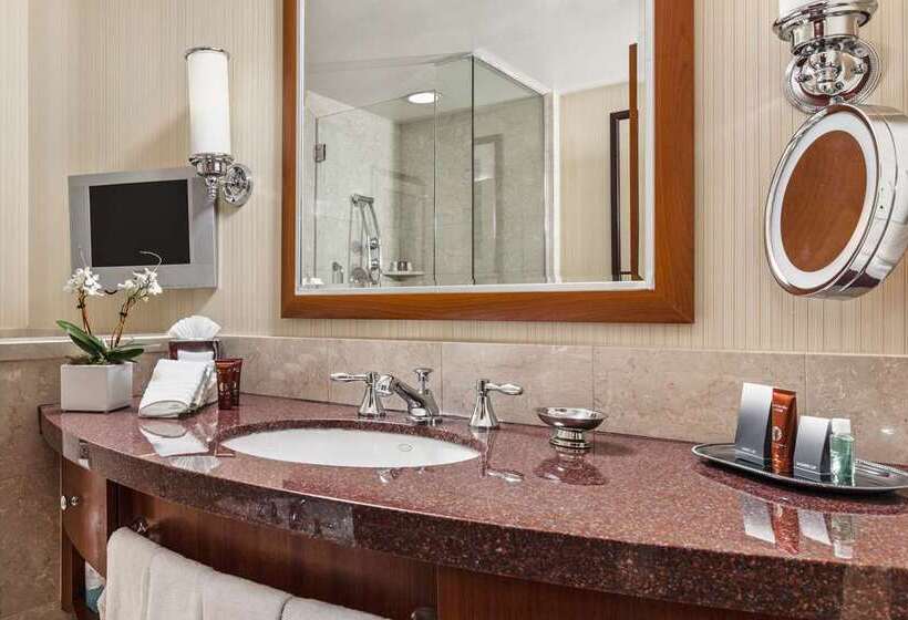 デラックスルーム, Hilton St. Petersburg Bayfront