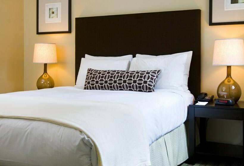 デラックスルーム, Inn Of Chicago