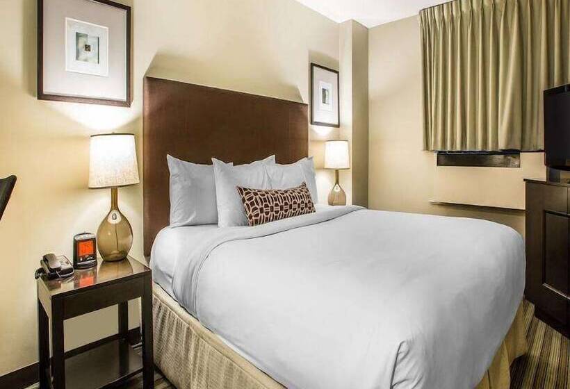 デラックスルーム, Inn Of Chicago